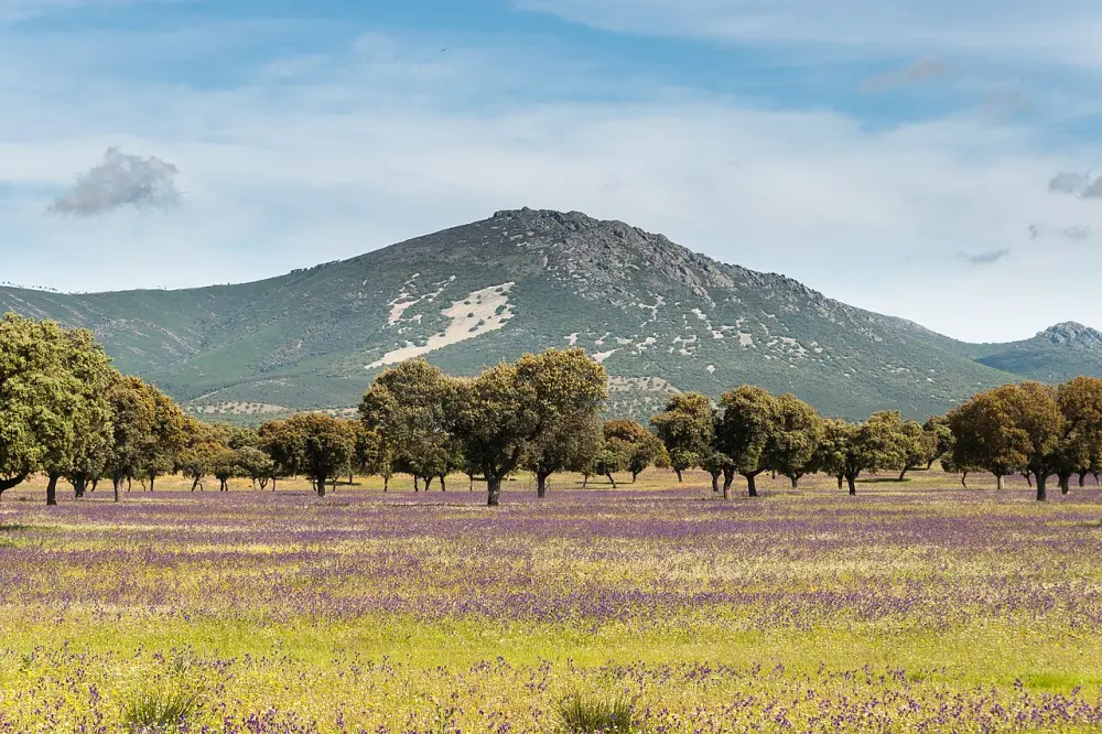 Province of Ciudad Real