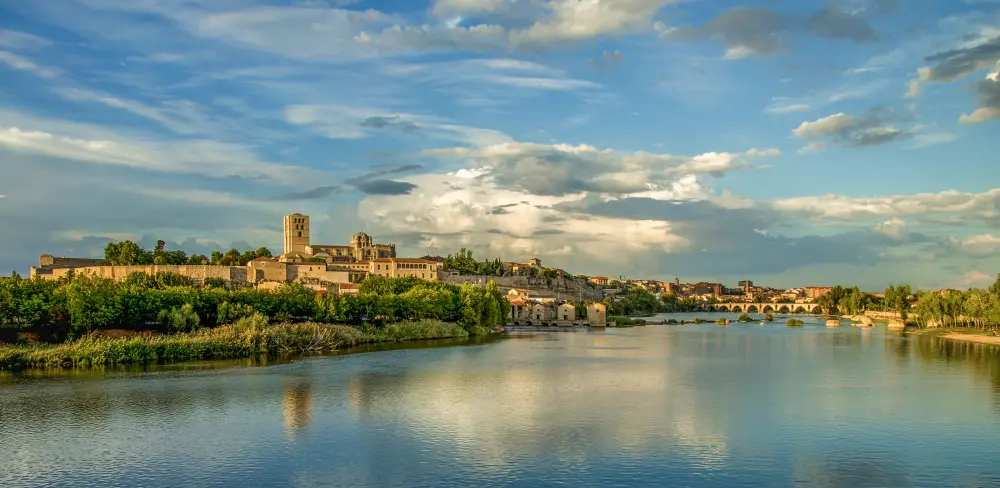 Province of Zamora
